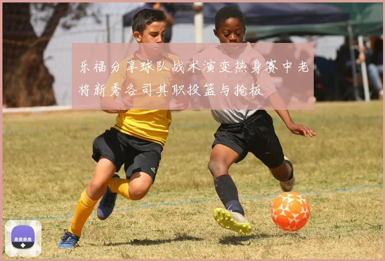 乐福分享球队战术演变热身赛中老将新秀各司其职投篮与抢板