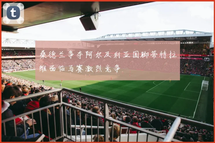 桑德兰争夺阿尔及利亚国脚蒂特拉维面临马赛激烈竞争